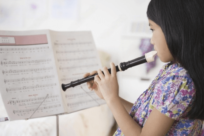 The Art of the Recorder: Insights from Professional Players