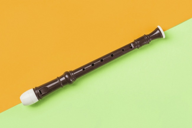 Recorder for Beginners: First Steps