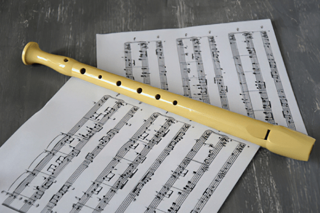 The Emotional Impact of Recorder Music