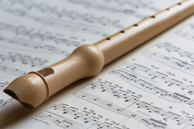 Exploring the World of Recorders: Diversity in Styles and Genres